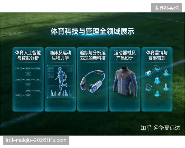 AI视频分析系统可在30秒内完成对运动员跳跃落地动作的生物力学评估，效率较人工分析提升超50倍